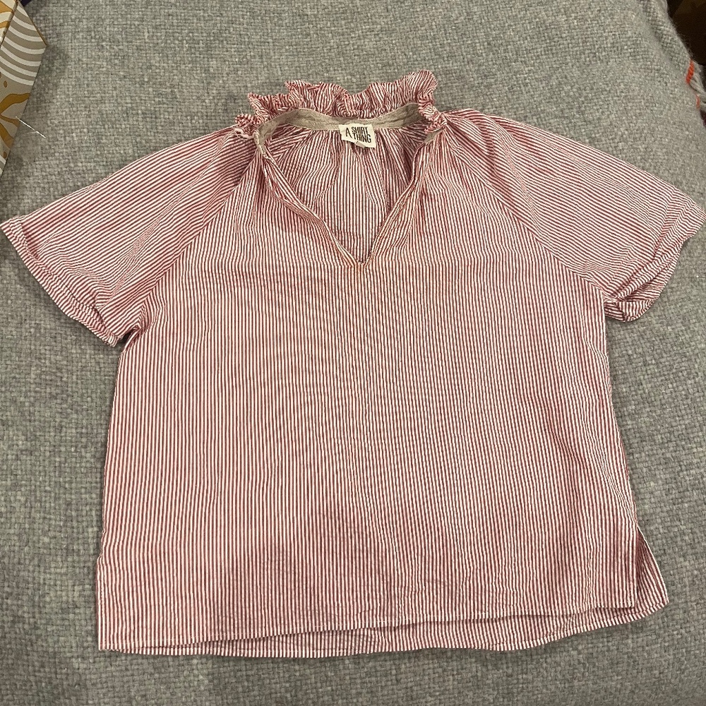 A Shirt Thing Margot Style Pink / Red Striped Shirt
